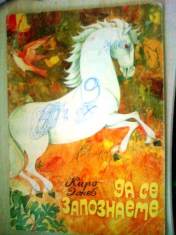 164052_10150123687000310_6313798_n