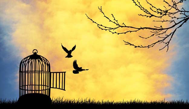 freedom-to-choose