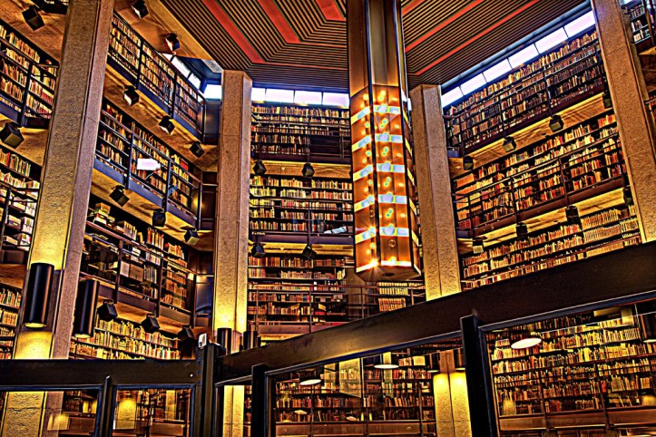 517163071_08c12fb8f8_b