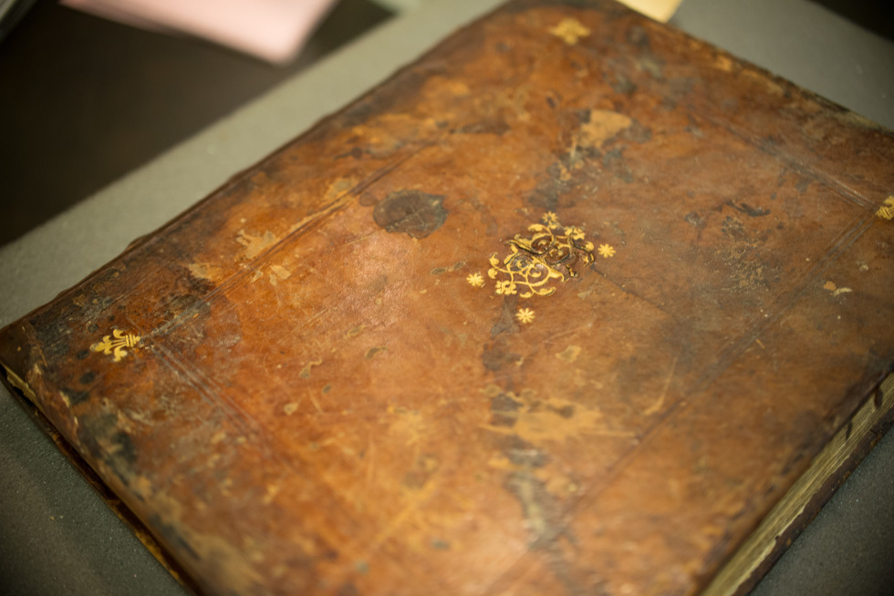 W1siZiIsInVwbG9hZHMvcGxhY2VfaW1hZ2VzLzdmZjc2Nzk0MDJlZjMxMTRjOV9EU0NfNTU0Mi5qcGciXSxbInAiLCJ0aHVtYiIsIjk4MHg-Il0sWyJwIiwiY29udmVydCIsIi1xdWFsaXR5IDkxIC1hdXRvLW9yaWVudCJdXQ