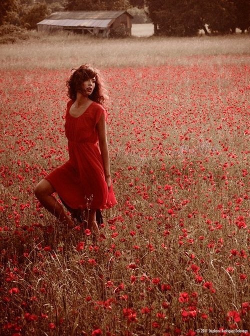 5eaadeac043683c52bce7818880720e9