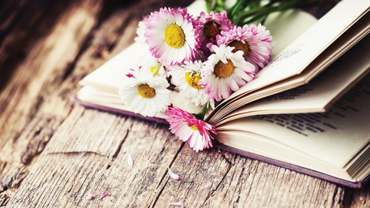 19624infocusbookreviews