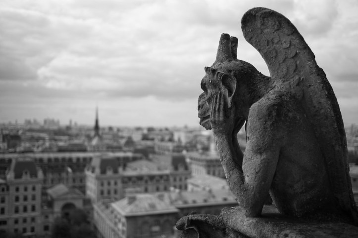 36381955473_16192f6717_b