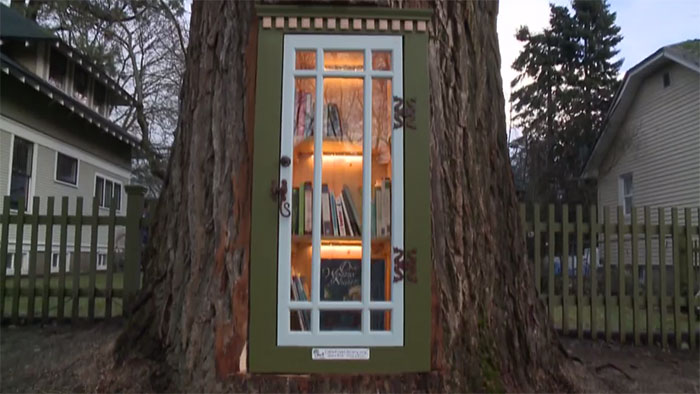 dead-tree-little-free-library-sharalee-armitage-howard-24