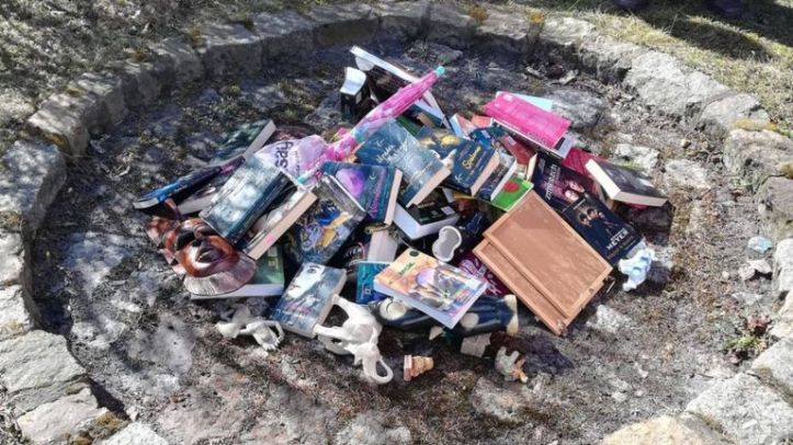 skynews-books-poland_4626185