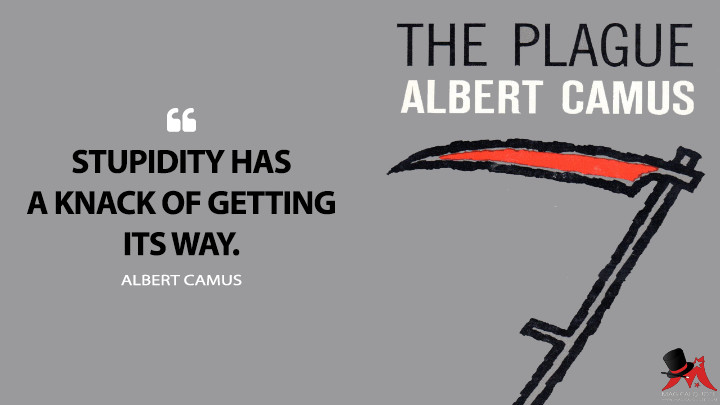 stupidity-has-a-knack-of-getting-its-way